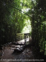 Maui2019-BambooForest1