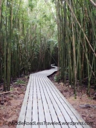 Maui2019-BambooForest_3